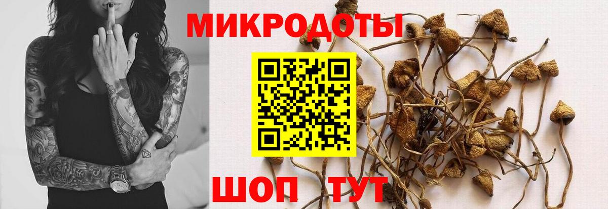 Псилоцибиновые грибы мицелий  Вход с VPN  Белорецк 